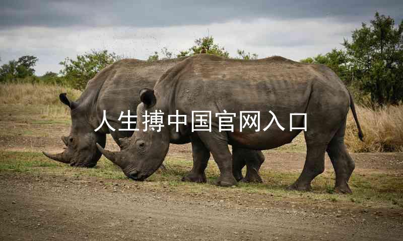 人生搏中国官网入口